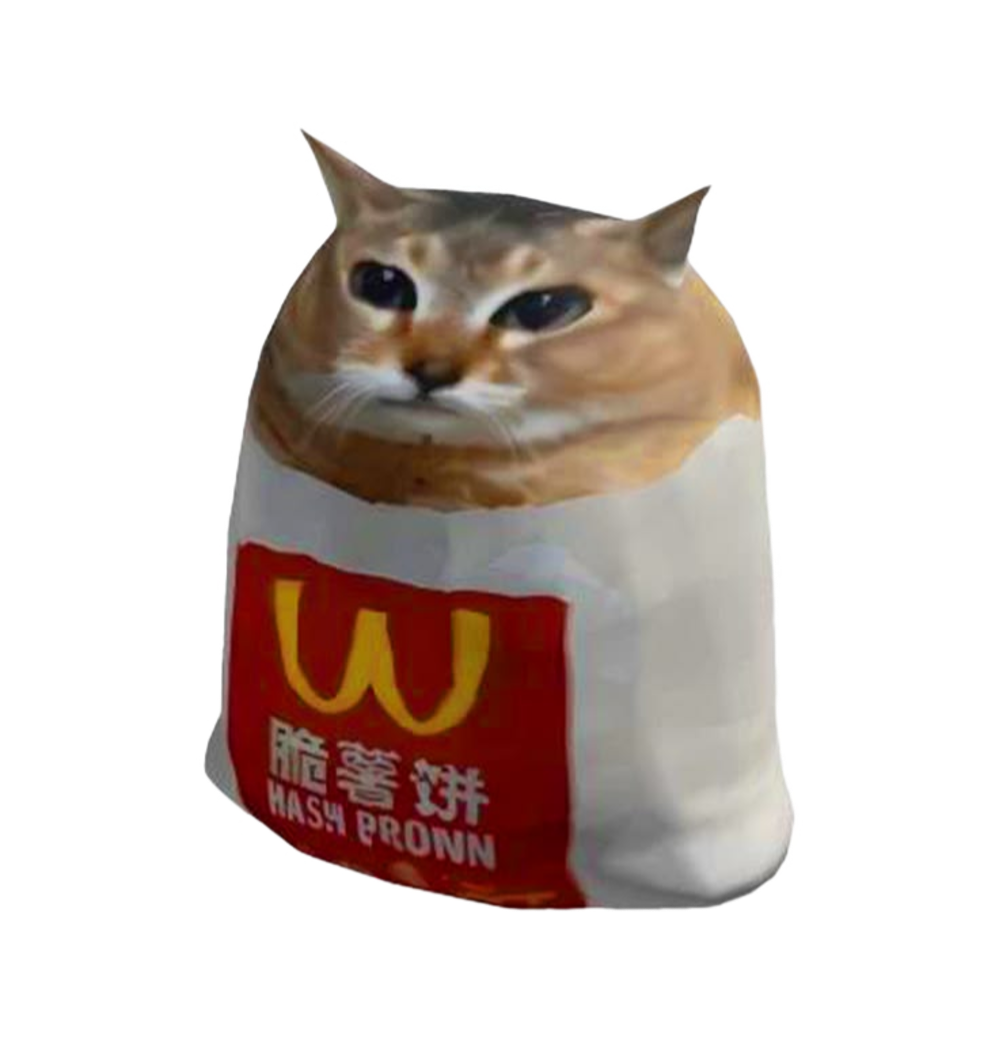 A cat wearing a hash brown sleeve